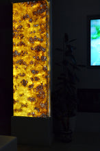 BurrBox™ Koobikle™ All-Glass Light Box with OrganicA™ Genuine Burl Wood, Free Shipping