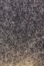 laminated glass rice paper door