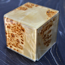 burl wood glass light