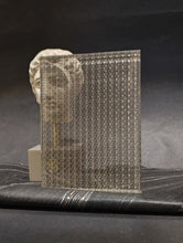 IWEB Metal Mesh Laminated Glass