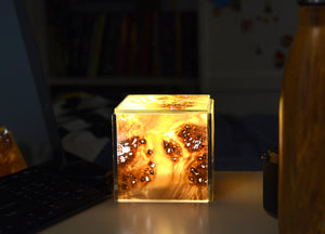 wood veneer glass light box